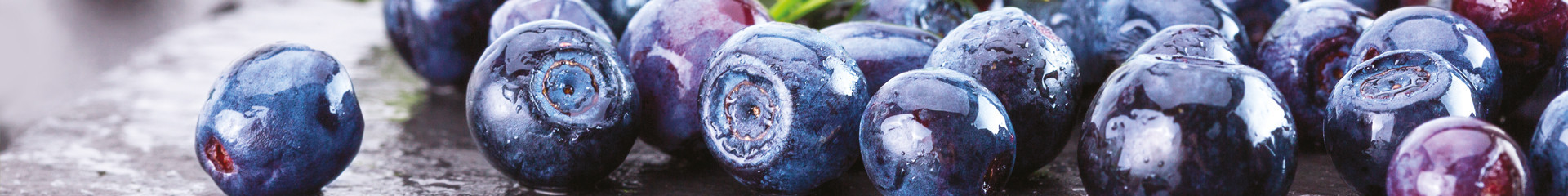 Baie d’açaï bio : un fruit brésilien riche en antioxydants | Bioénergies